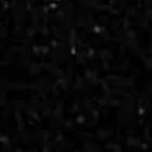 Smoky Black